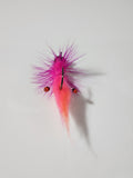 Cerise shrimp