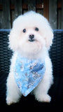 Pet Bandanas