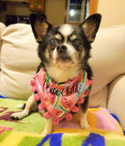Pet Bandanas