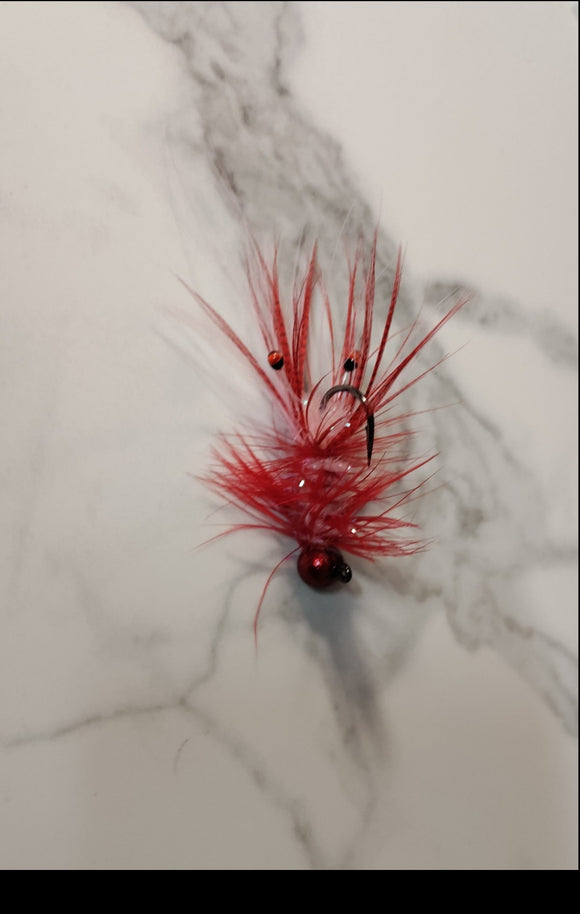 Disco Red/Shrimp #2