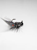 Black Shrimp #2